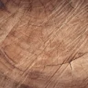 legno massello